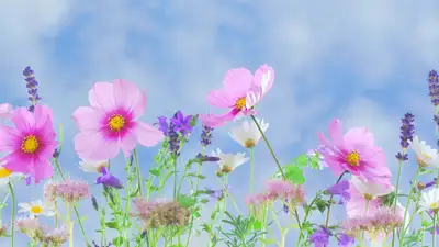 Жителям Алматы и Шымкента повезет с погодой в конце весны , фото - Новости Zakon.kz от 29.05.2024 15:41