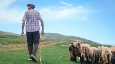 пастух, Акмолинская оласть, фото - Новости Zakon.kz от 30.05.2024 20:15