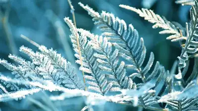 Сильная жара на западе и заморозки на севере: синоптики объявили штормовое предупреждение, фото - Новости Zakon.kz от 30.05.2024 23:11