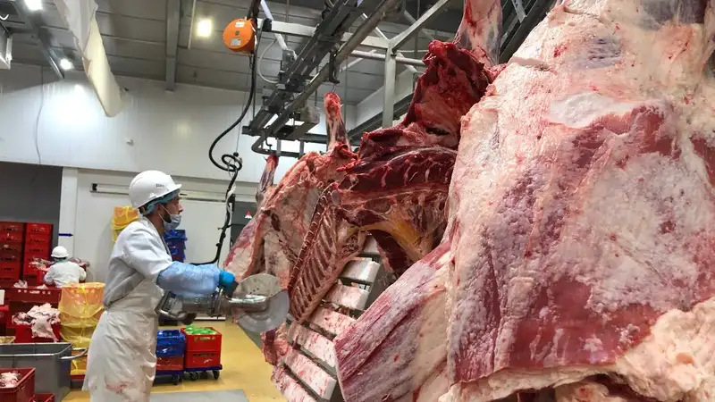 Стоит ли ожидать роста цен на мясо на фоне масштабных паводков в Казахстане