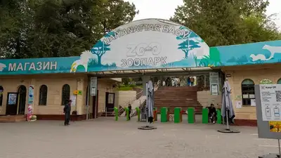 Алматинский зоопарк поделился потрясающей новостью