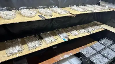 Очередную нарколабораторию ликвидировал КНБ в Алматы, фото - Новости Zakon.kz от 01.06.2024 12:18