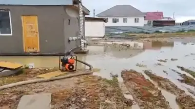 , фото - Новости Zakon.kz от 01.06.2024 12:15