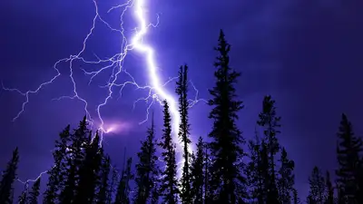 Выросло число пострадавших от удара молнии в Чехии, фото - Новости Zakon.kz от 03.06.2024 03:22