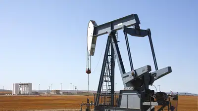 ОПЕК+ продлил нефтяную сделку на 2025 год, фото - Новости Zakon.kz от 02.06.2024 18:39