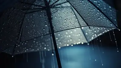 зонтик, фото - Новости Zakon.kz от 02.06.2024 16:44