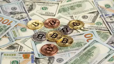 биткоины, доллары, фото - Новости Zakon.kz от 02.06.2024 17:19