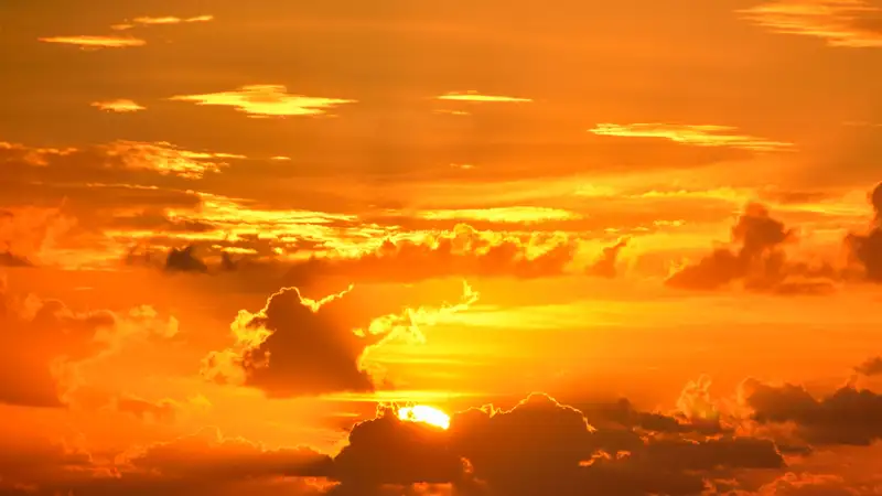 Аномальная жара в 50 градусов "угрожает" Казахстану