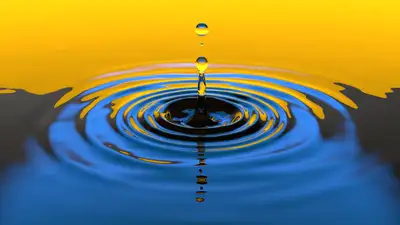 На 15 млрд кубометров больше: что происходит на водохранилищах Казахстана, фото - Новости Zakon.kz от 03.06.2024 16:10