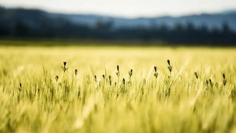 В каких регионах Казахстана объявлено штормовое предупреждение