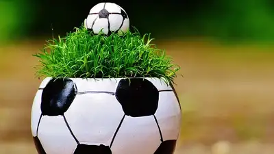 Чемпионат Европы по футболу, фото - Новости Zakon.kz от 05.06.2024 07:15