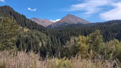В Иле-Алатуском нацпарке пересмотрят режим природопользования, фото - Новости Zakon.kz от 04.06.2024 15:46