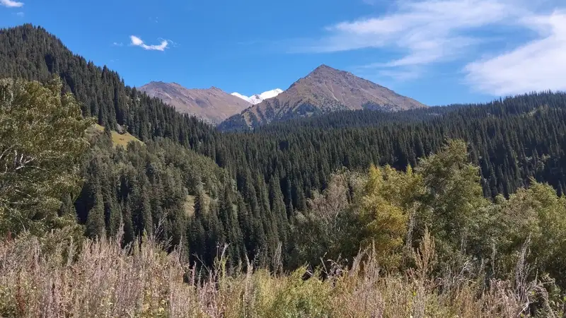 В Иле-Алатауском нацпарке пересмотрят режим природопользования
