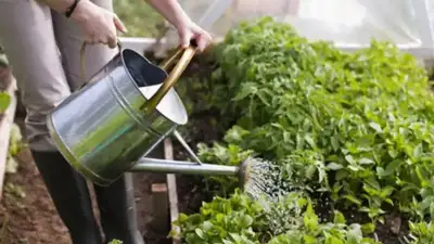 исследование, фото - Новости Zakon.kz от 05.06.2024 00:38