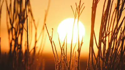 В Астане – дожди с градом, в Алматы и Шымкенте – жара до +39°С: трехдневный прогноз от &quot;Казгидромета&quot;, фото - Новости Zakon.kz от 05.06.2024 17:47