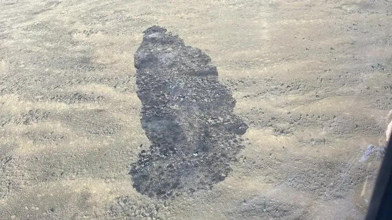 Масштабы крупного пожара в Жамбылской области показали с вертолета