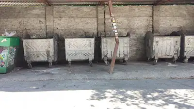 Администрацию кафе в Алматы оштрафовали за мойку мусорного бака в реке, фото - Новости Zakon.kz от 05.06.2024 11:54