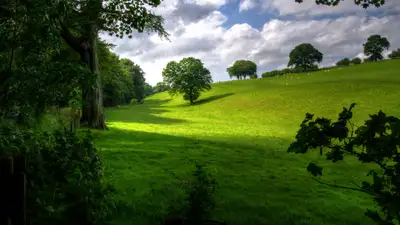 Жара до 40 градусов и грозы: погода в Казахстане на 6-8 июня, фото - Новости Zakon.kz от 05.06.2024 12:50