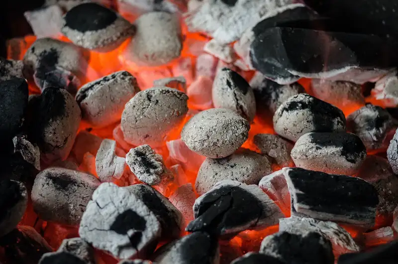 Мастер-класс: все, что нужно знать о барбекю для идеального гриль-пати, фото - Новости Zakon.kz от 06.06.2024 18:35