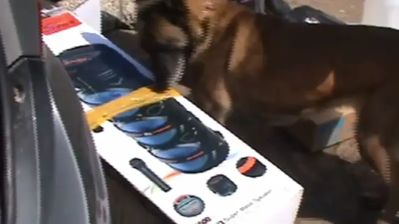 В Алматы, Астану и Уральск поступали наркотики из-за рубежа