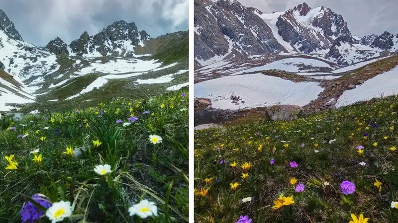 Алматинские горы вновь обсуждает Казнет