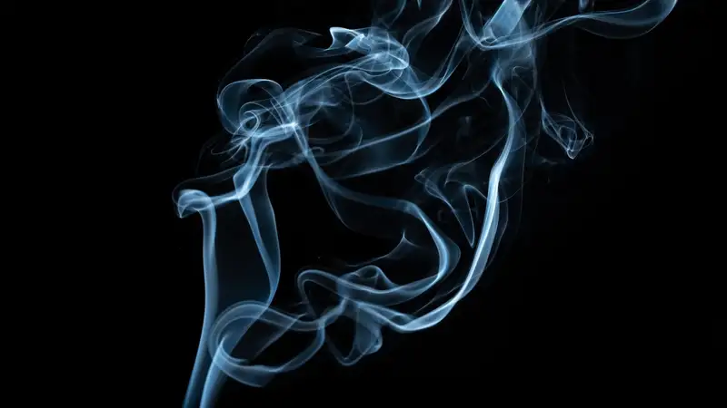 Вейпы и ароматизаторы запретят проносить в школы