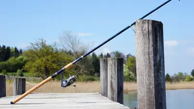 Как будут закреплять рыбохозяйственные водоемы за инвесторами, фото - Новости Zakon.kz от 07.06.2024 13:18