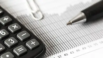 декларация, Казахстан, иностранцы , фото - Новости Zakon.kz от 07.06.2024 20:19