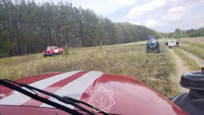 За поджег леса в природном резервате Семей орманы наказан тракторист, фото - Новости Zakon.kz от 08.06.2024 09:42