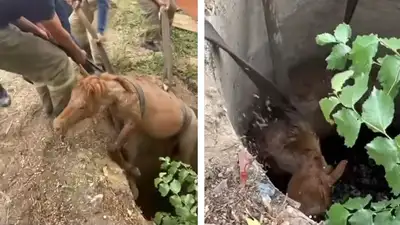 спасательная операция, фото - Новости Zakon.kz от 09.06.2024 22:13