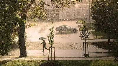 штормовое предупреждение, фото - Новости Zakon.kz от 09.06.2024 20:02