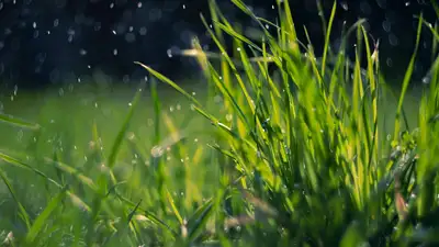 Жителям Алматы и Астаны обещают дожди, фото - Новости Zakon.kz от 10.06.2024 17:57