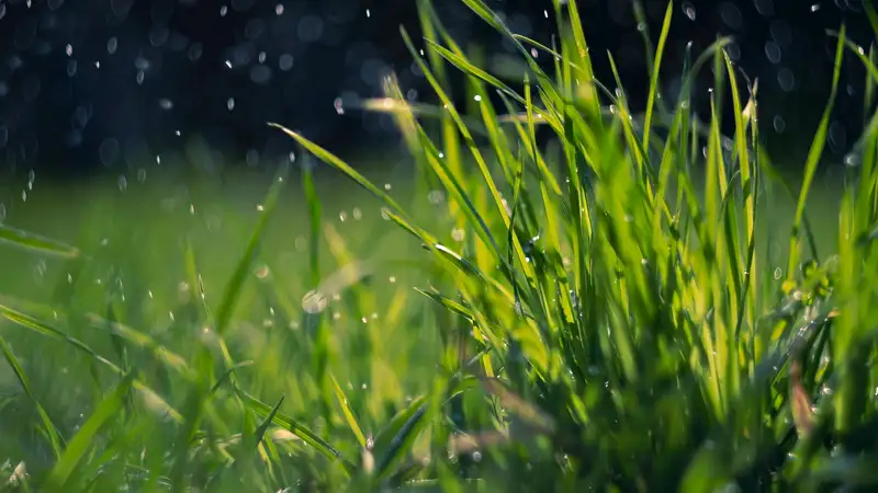 Жителям Алматы и Астаны обещают дождь с грозой