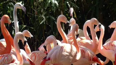 Акмолинская область, фото - Новости Zakon.kz от 12.06.2024 04:00