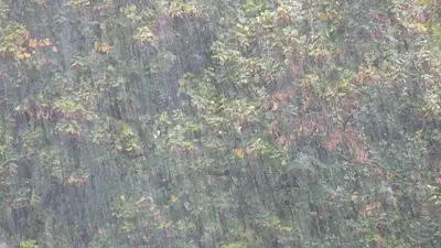 штормовое предупреждение, фото - Новости Zakon.kz от 12.06.2024 20:01