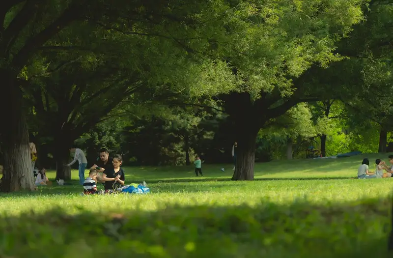 Идеальный пикник на природе: что взять и как организовать, фото - Новости Zakon.kz от 14.06.2024 17:56
