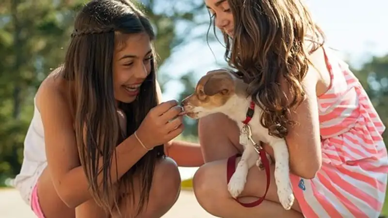 Опасный тренд распространяется среди детей – врач