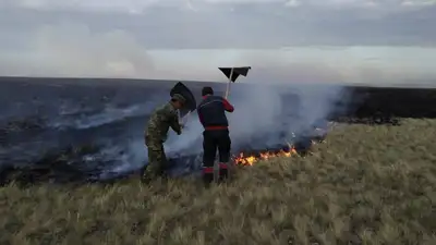 Какие штрафы можно получить за разведение костров, фото - Новости Zakon.kz от 15.06.2024 10:57