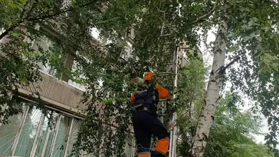 спасение кота, фото - Новости Zakon.kz от 15.06.2024 12:10