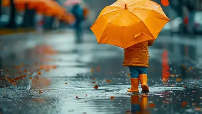 дождь, фото - Новости Zakon.kz от 15.06.2024 17:01