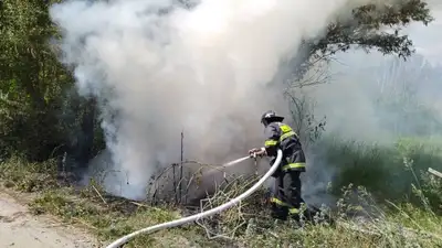 автомобиль сгорел в ВКО, фото - Новости Zakon.kz от 16.06.2024 20:04