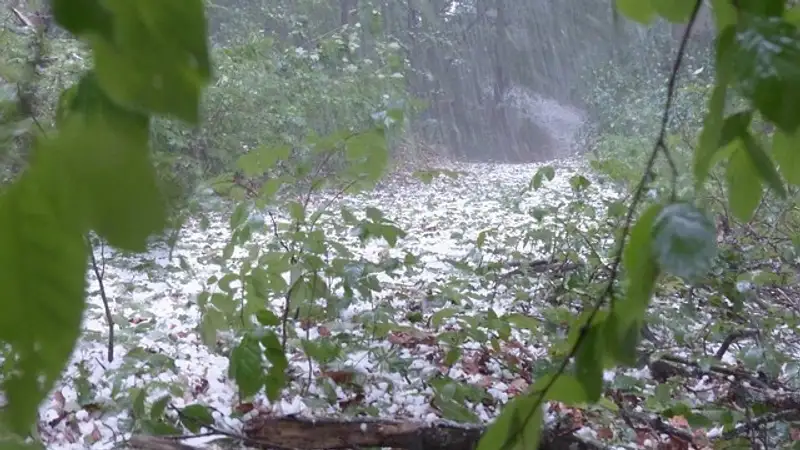 В Астане и 16 областях на понедельник объявлено штормовое предупреждение