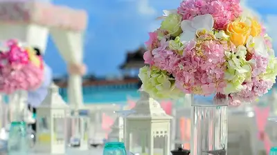 Свадьба, фото - Новости Zakon.kz от 16.06.2024 08:18