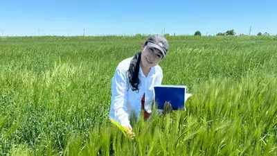 Ученый-селекционер Лаура Тохетова, Адал азамат, фото - Новости Zakon.kz от 17.06.2024 15:37