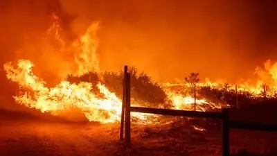 Пожар, фото - Новости Zakon.kz от 17.06.2024 07:25
