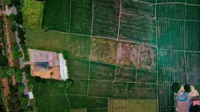 Землепользователи в Алматинской области не оплатили 1,5 млрд налогов за изменение целевого назначения земель, фото - Новости Zakon.kz от 17.06.2024 11:27