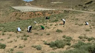 Продолжается в Мангистауской области, фото - Новости Zakon.kz от 18.06.2024 12:18