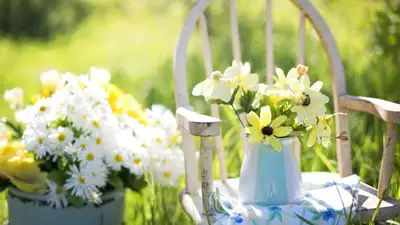 Погода в Астане, Алматы и Шымкенте, фото - Новости Zakon.kz от 18.06.2024 14:52