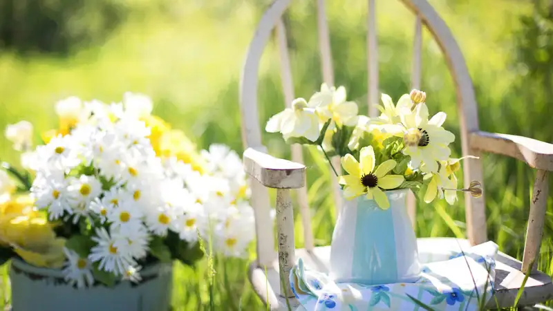 Какой будет погода в Астане, Алматы и Шымкенте в ближайшие дни