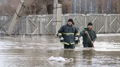 МЧС, Казахстан, Аринов , фото - Новости Zakon.kz от 18.06.2024 15:51